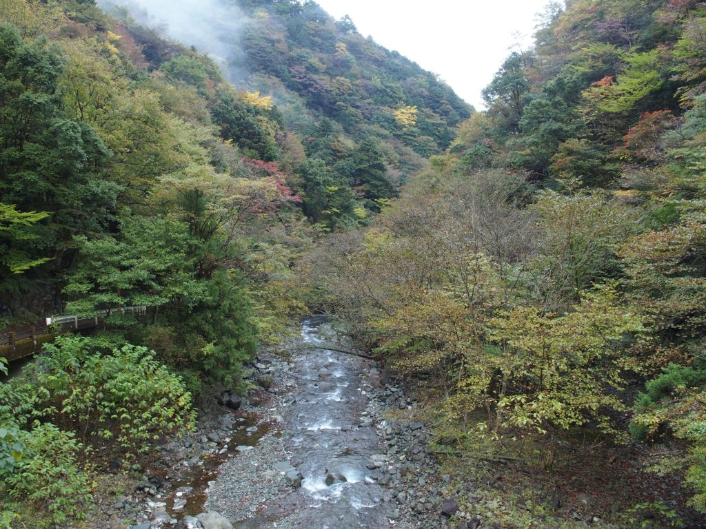 紅葉が進む様子を眺める