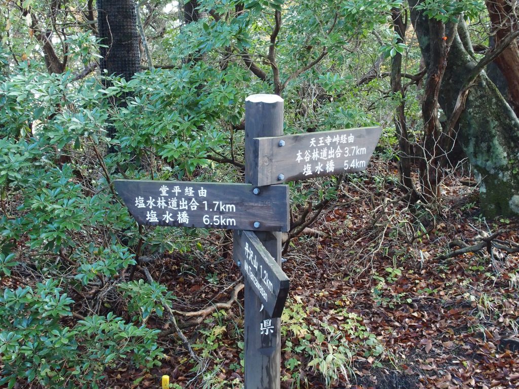 堂平方面と天王寺尾根の分岐