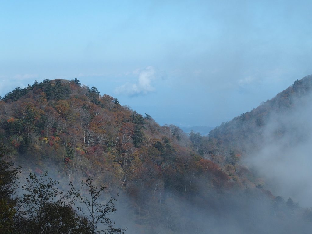 丹沢三峰側の景色