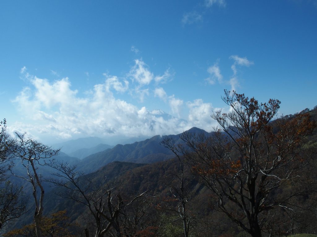 山頂の景色