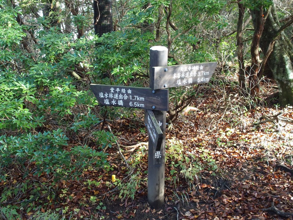 天王寺峠方面からの道との分岐点