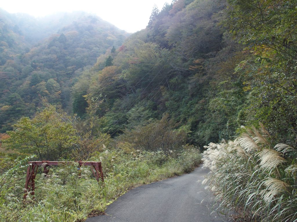 林道を下る。索道の起点がある。