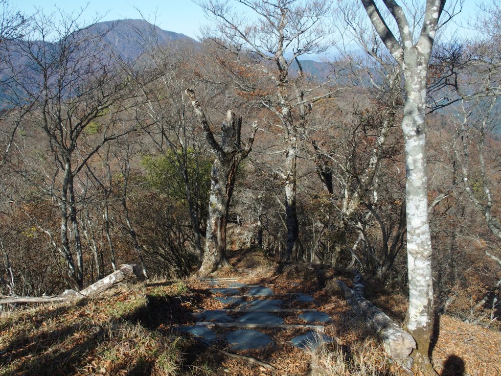 菰釣山からブナノ丸へ