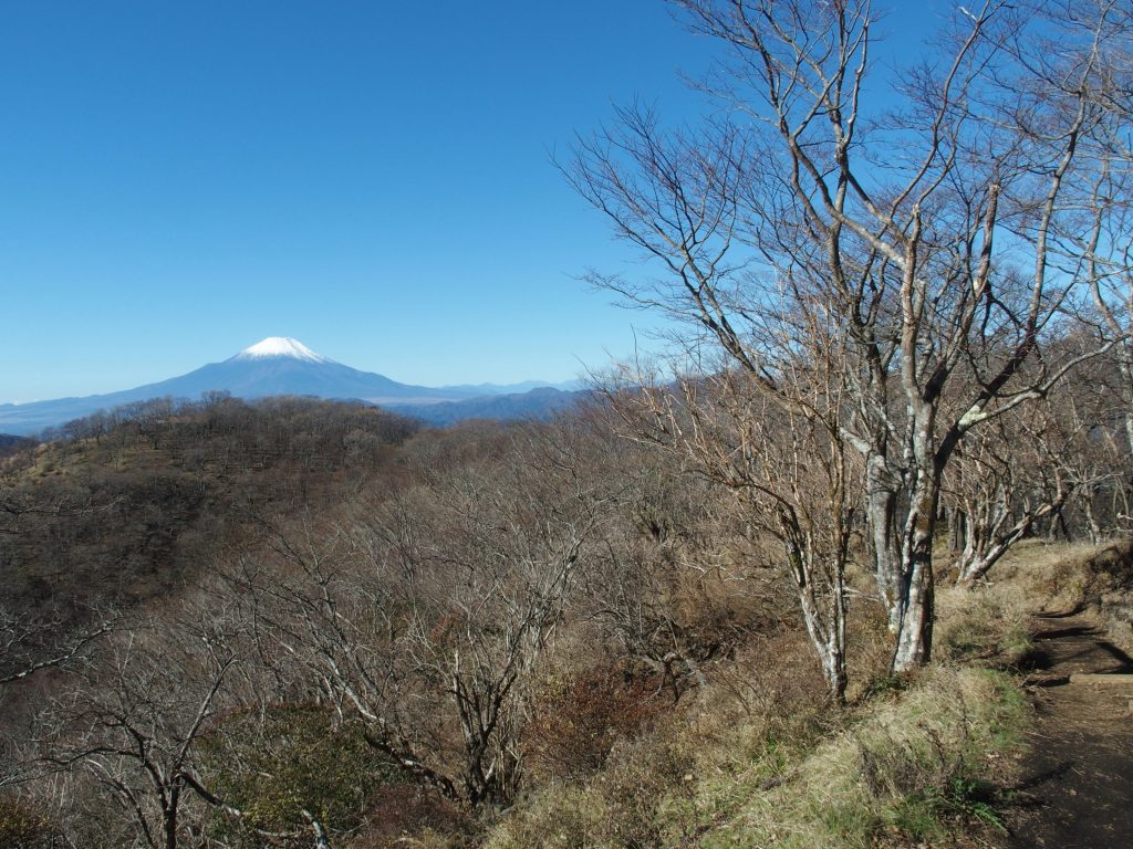 西丹沢の向こうに富士山