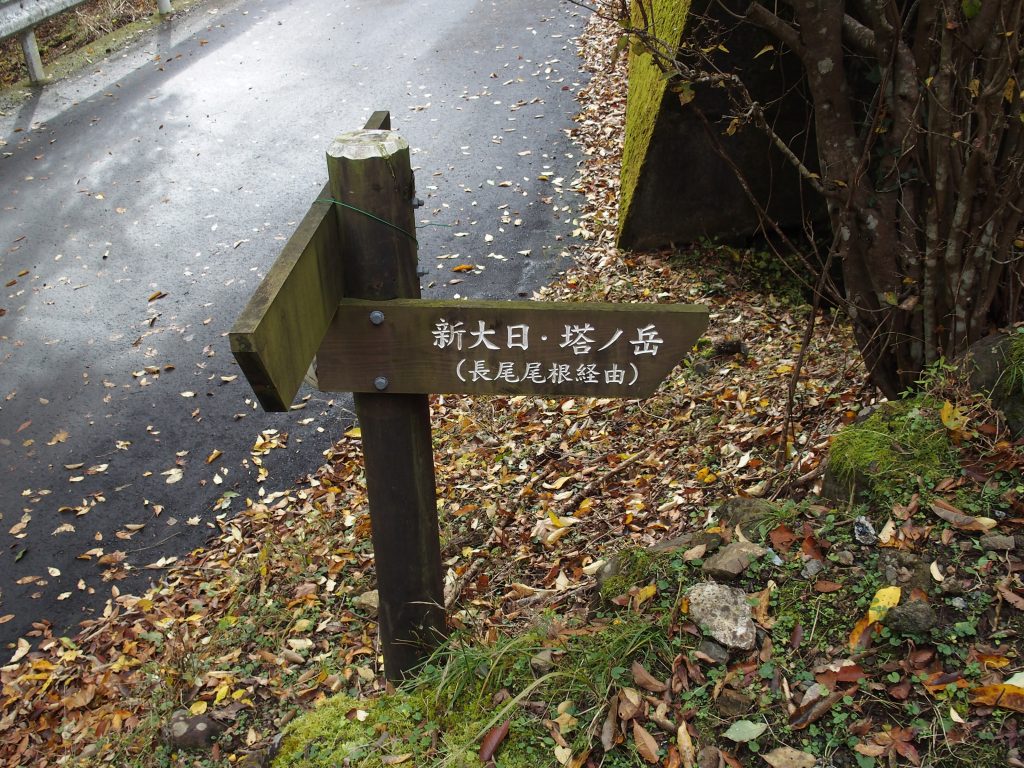 新大日を経て塔ノ岳に至る