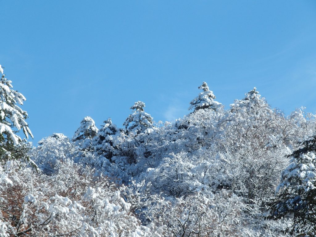 青空と雪