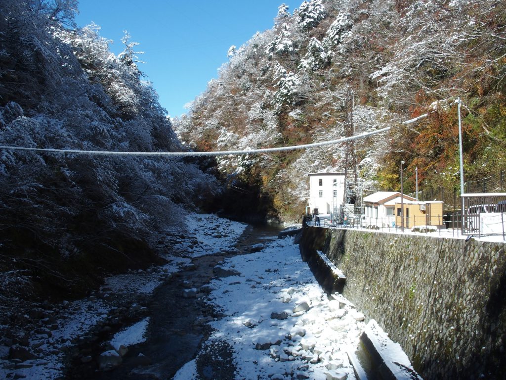 電線にも雪