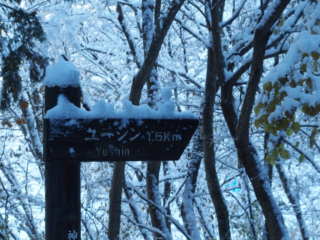 指導標の上に雪だるま