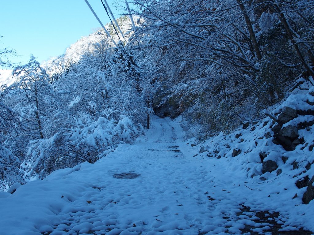 轍は消えた