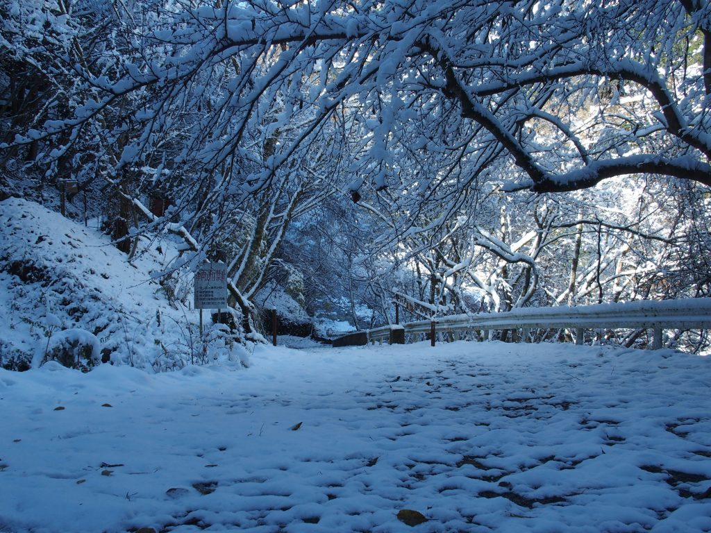 ロッジへの坂道も雪