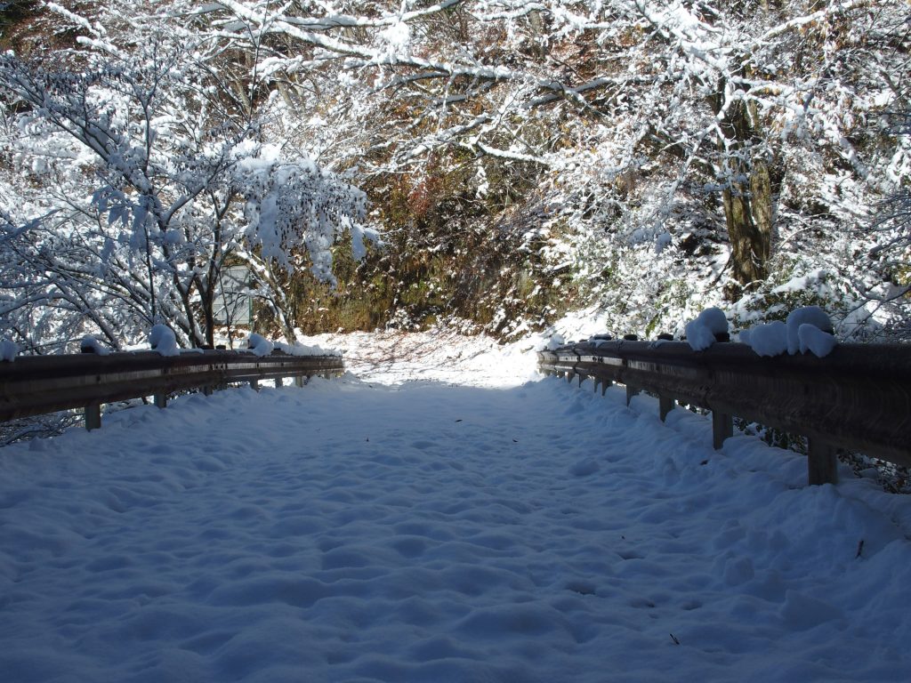 誰も渡っていない新雪の橋