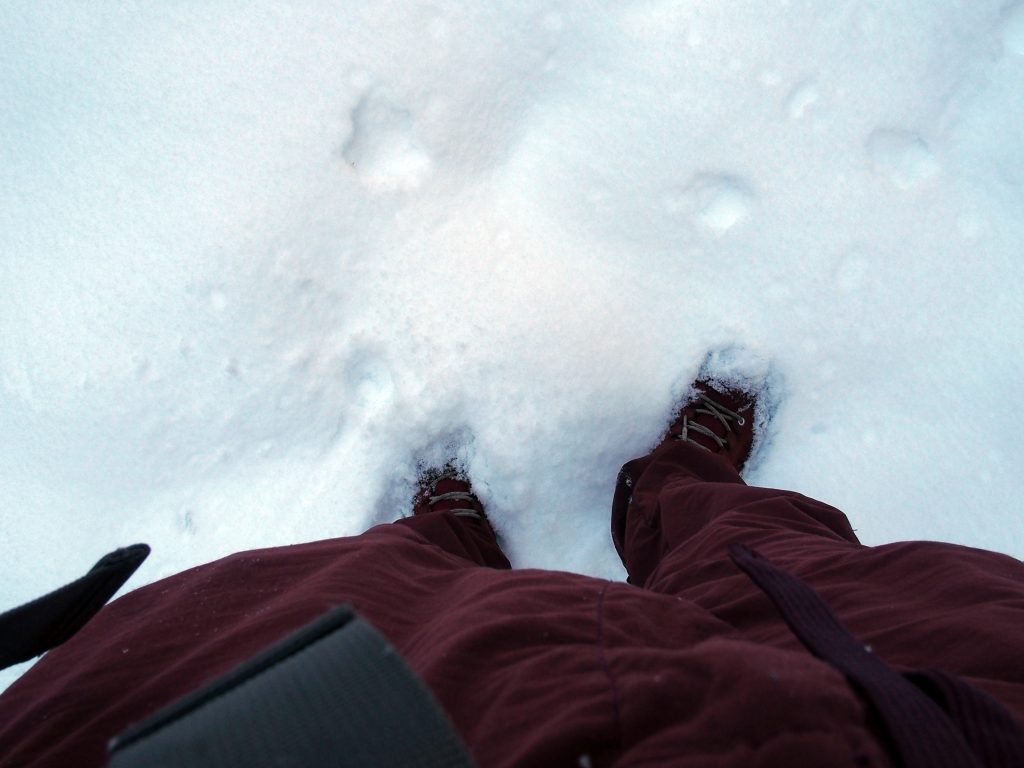 雪に足跡を残したのは誰だ