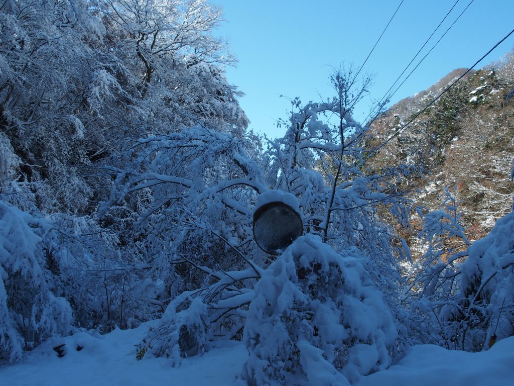 カーブミラーにも雪がどっさり