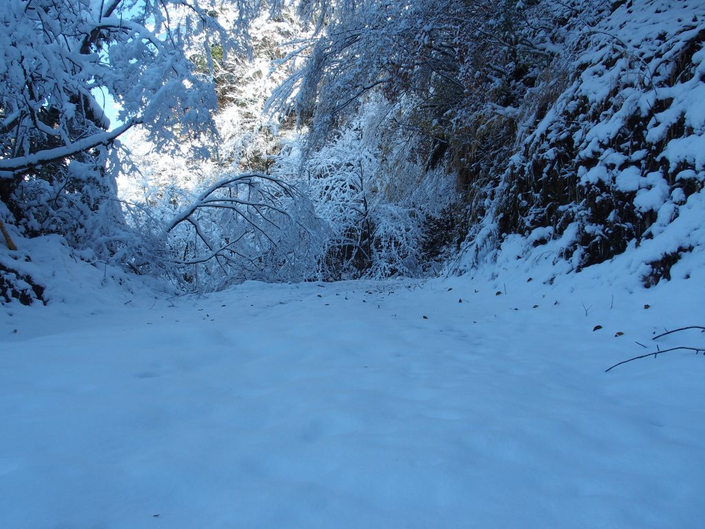 人の足跡のない新雪