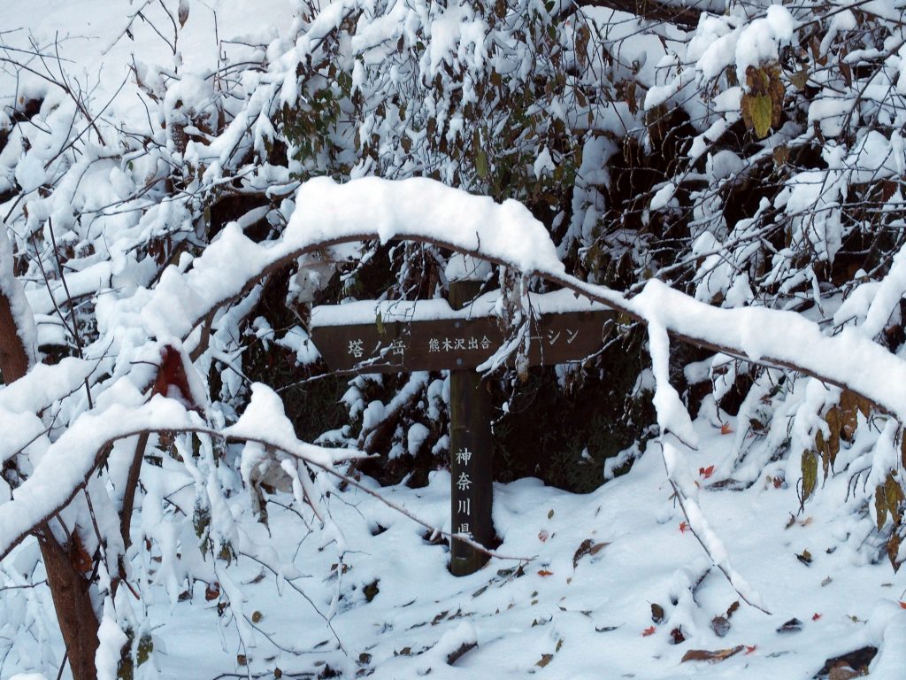 熊木沢出合