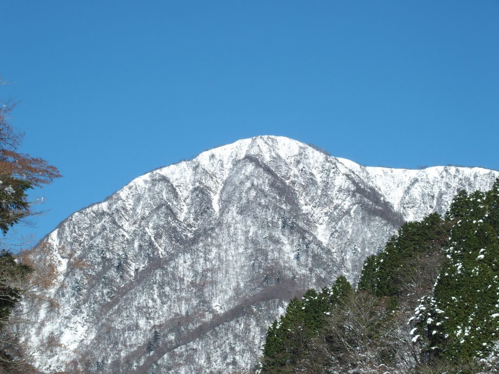 山頂にクローズアップ