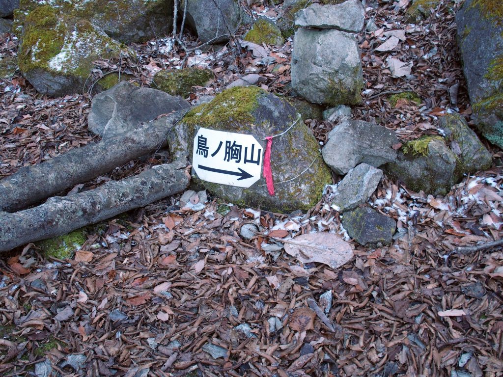 石に貼り付けられた「鳥ノ胸山→」