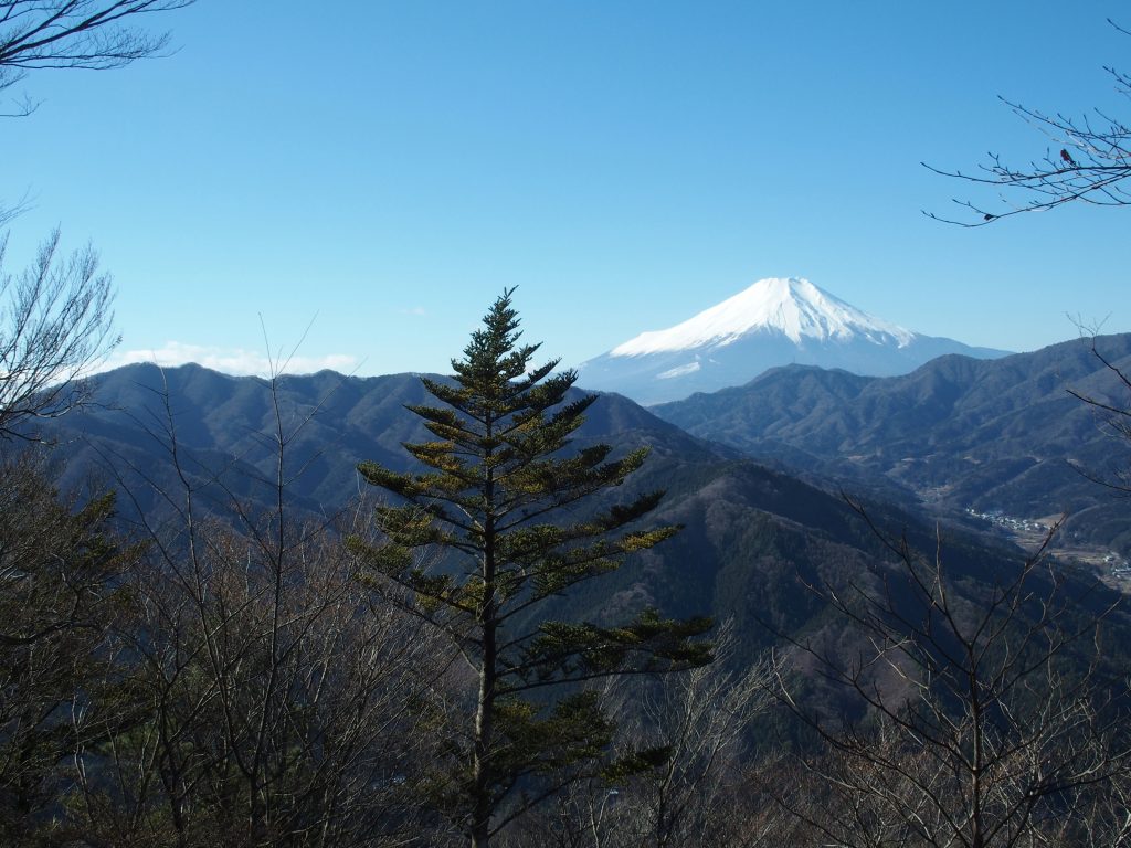 甲相国境尾根の向こうに富士山