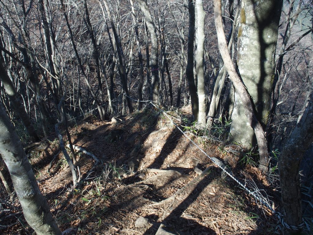 山頂近くにもロープあり