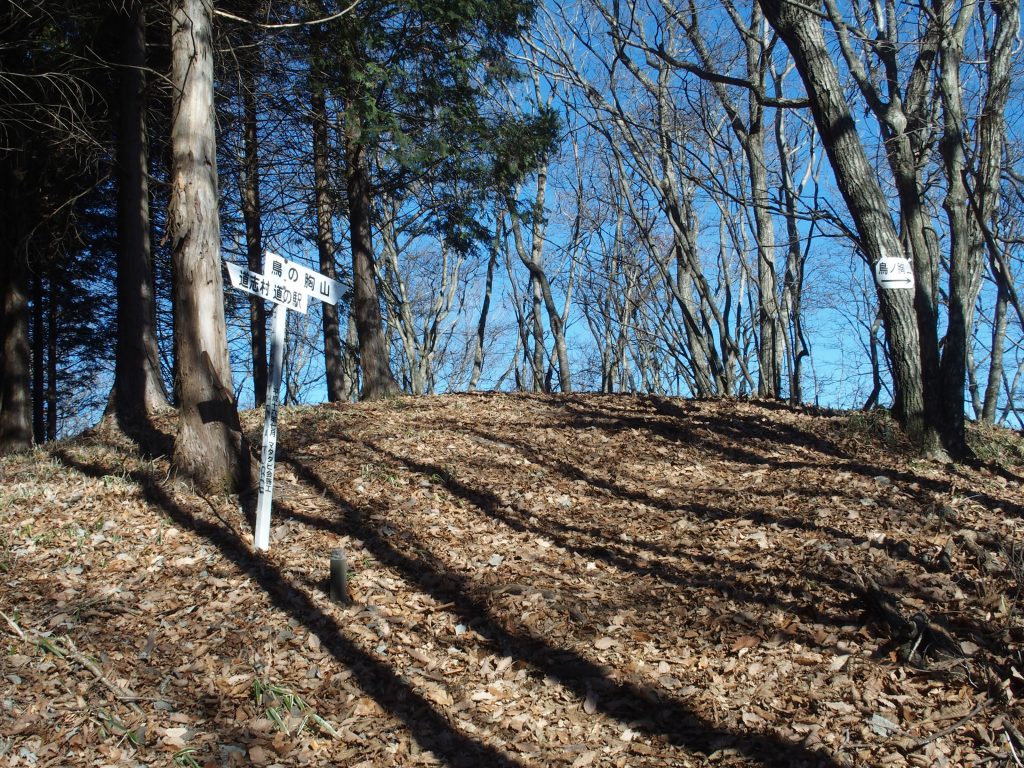 山頂近くの尾根に到着