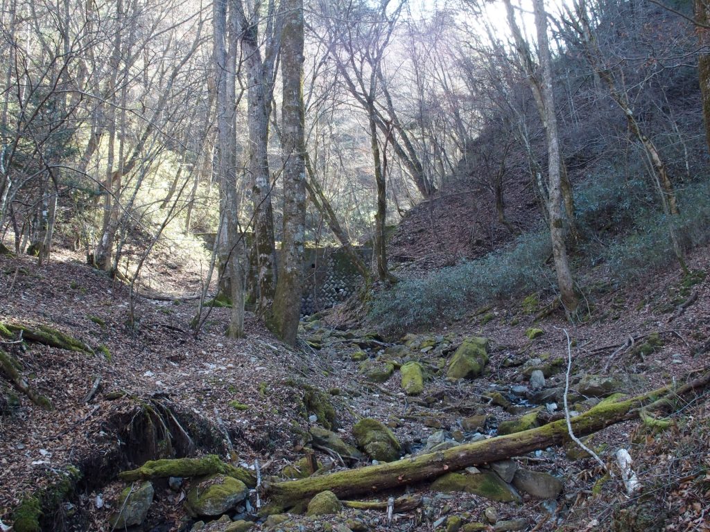 見学地の奥の堰堤