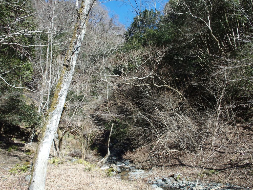 滝の音が微かに聞こえる