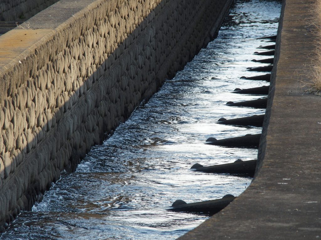 魚道の一部