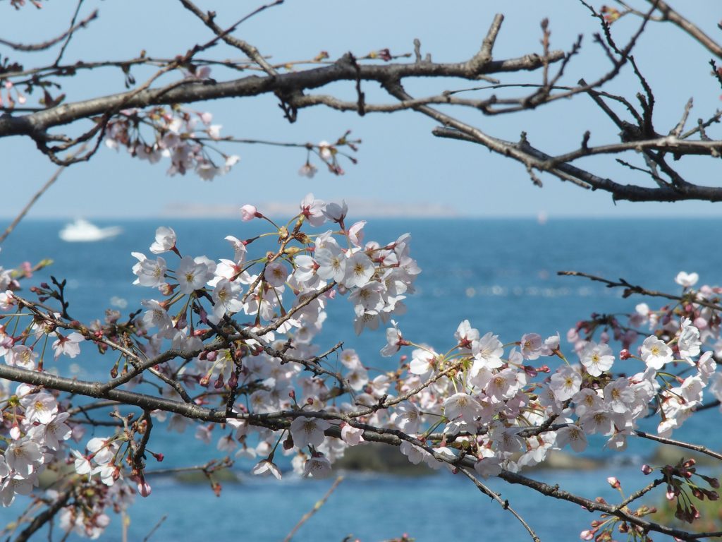 遠くには第一海堡