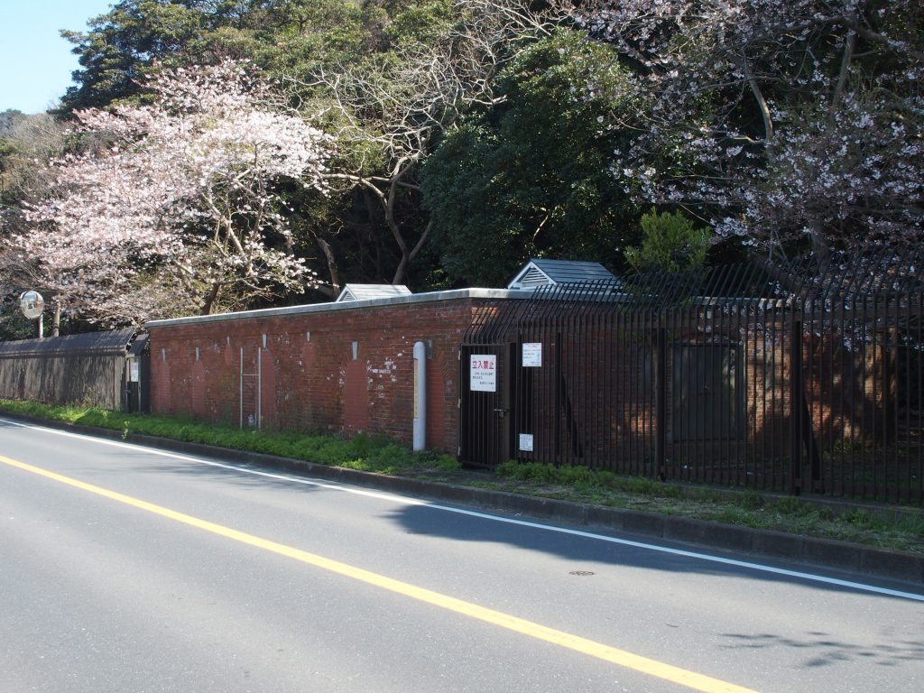 貯水池と桜