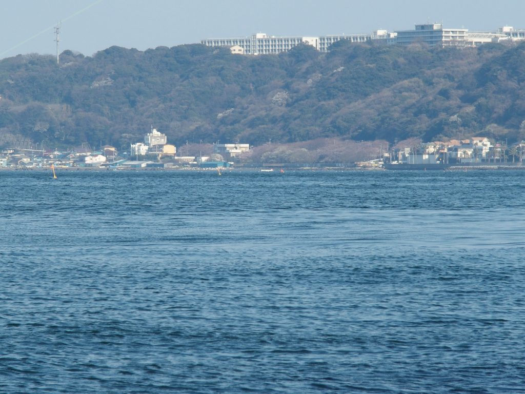 うみかぜ公園から