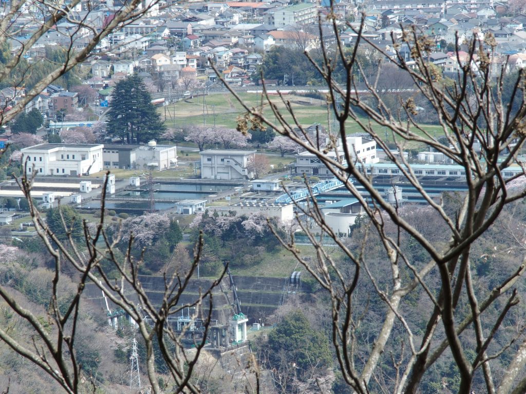 城山から俯瞰