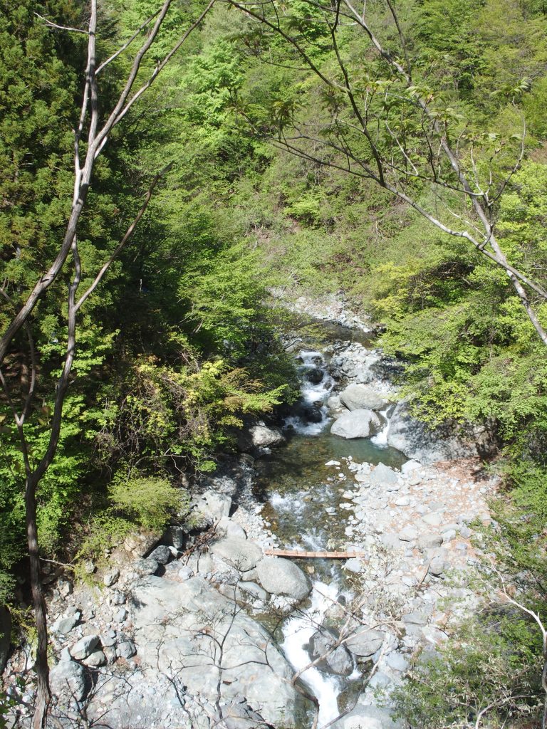 丸太橋に感動