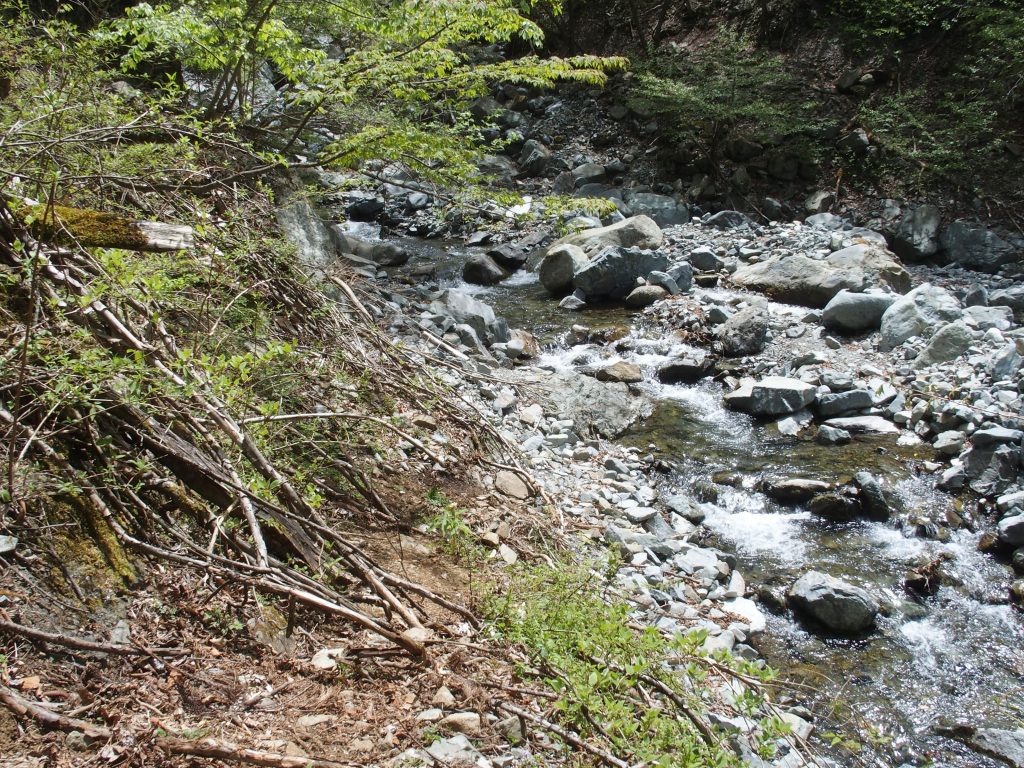 河原を進め