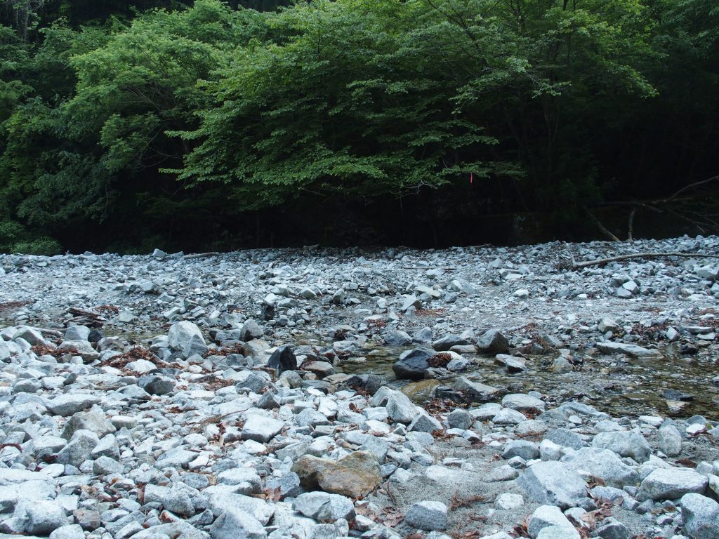 注意して見回すとリボンが見つかる