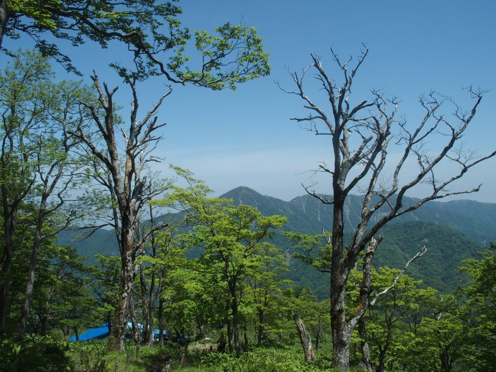 山頂の少し下に青ヶ岳山荘が見える