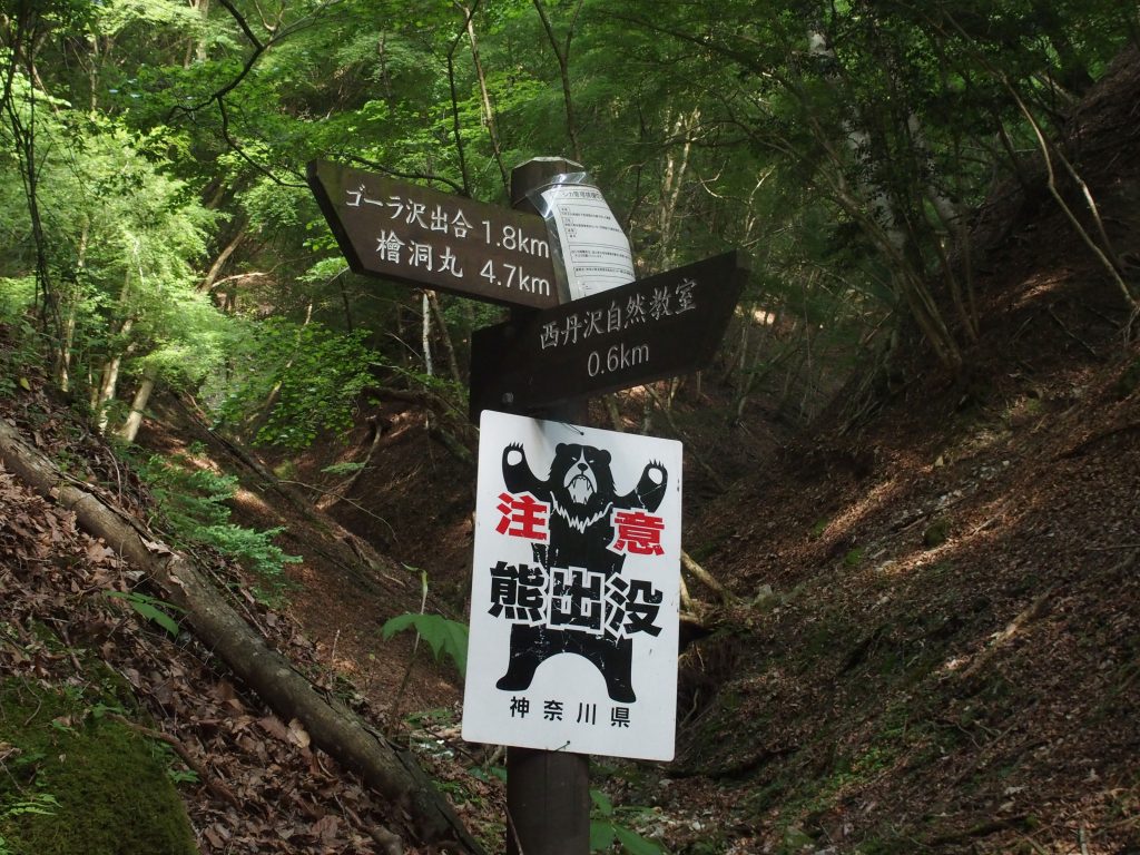 熊に対する注意喚起の看板