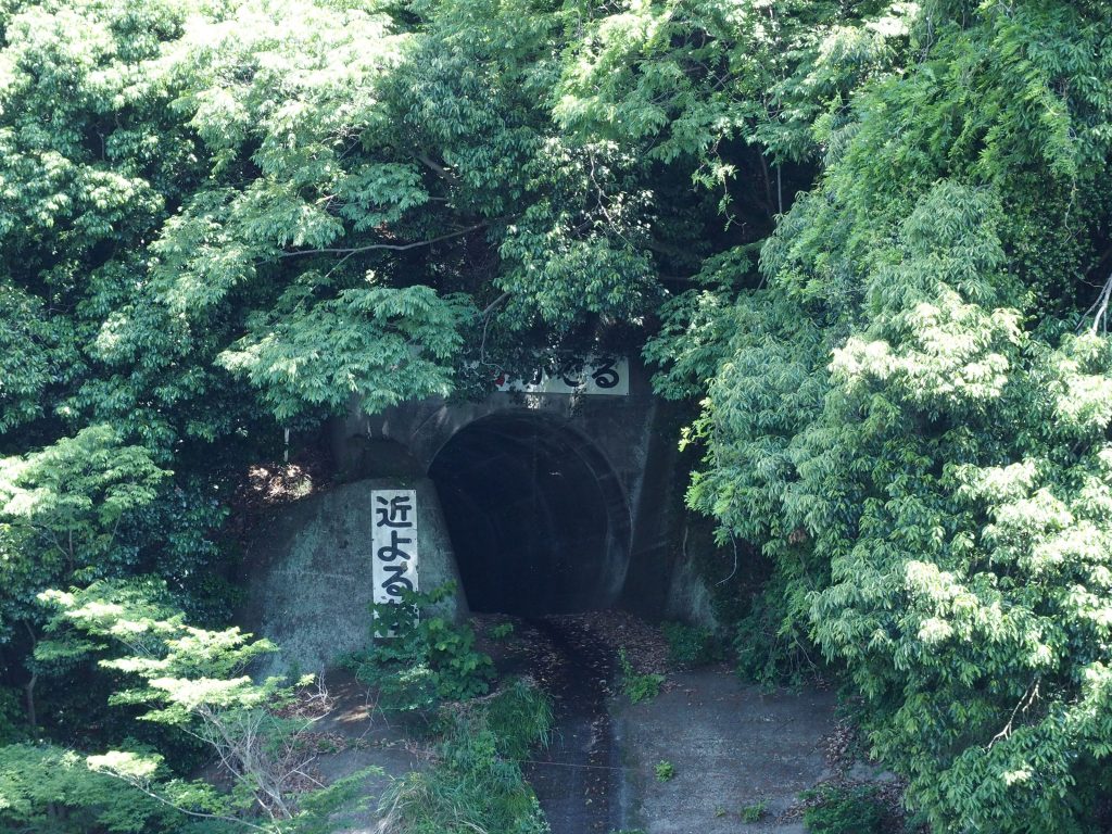 放水口は河床からやや高くなったところにある