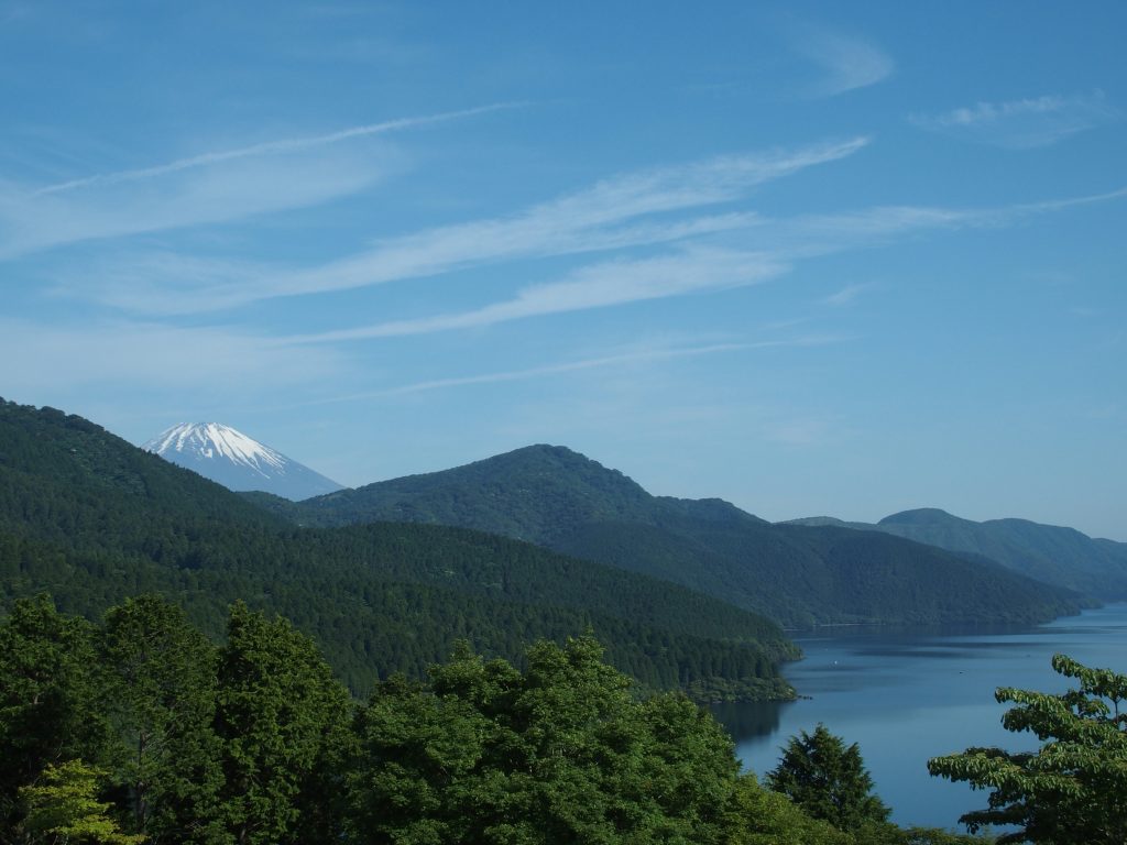 西岸の森の向こうに、富士山が顔を出す