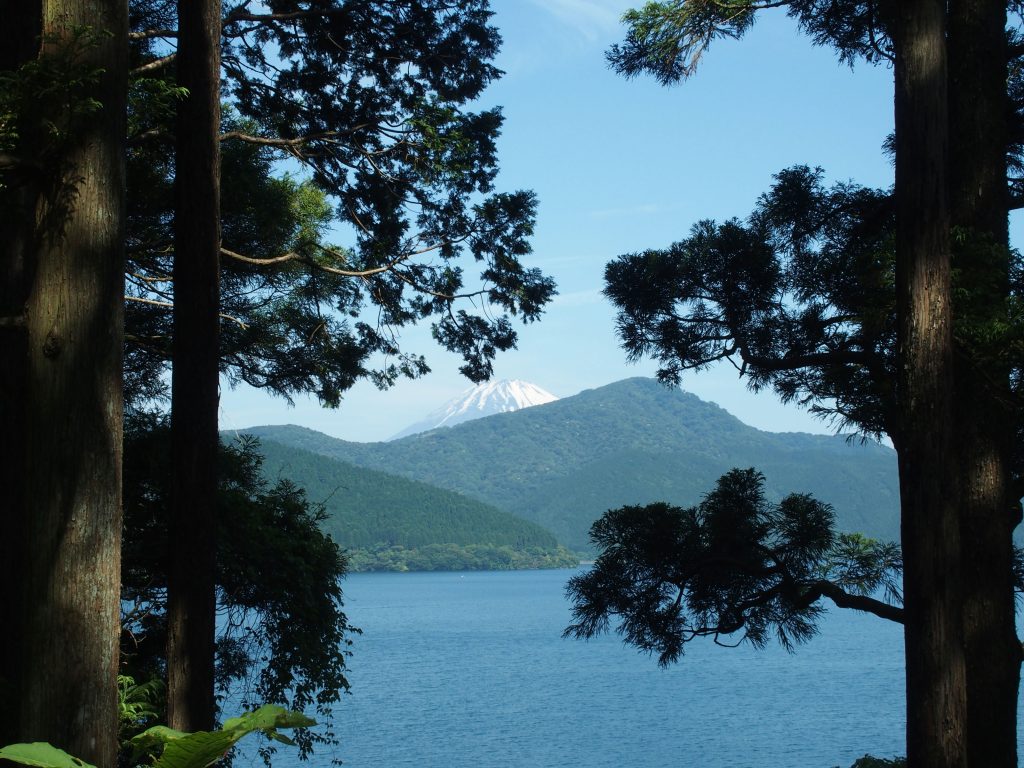 木々の向こうに富士山