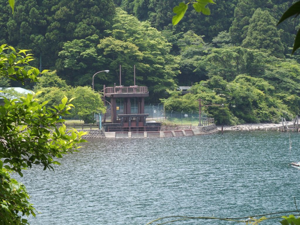 樹林越しに深良水門が見える