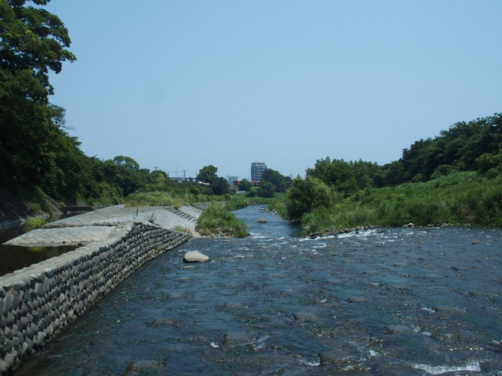 早川本流とは高低差が大きくなる