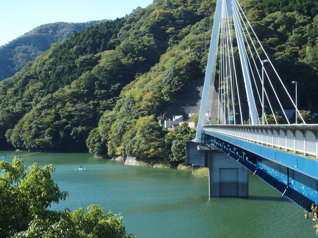 丹沢湖のランドマークの斜張橋