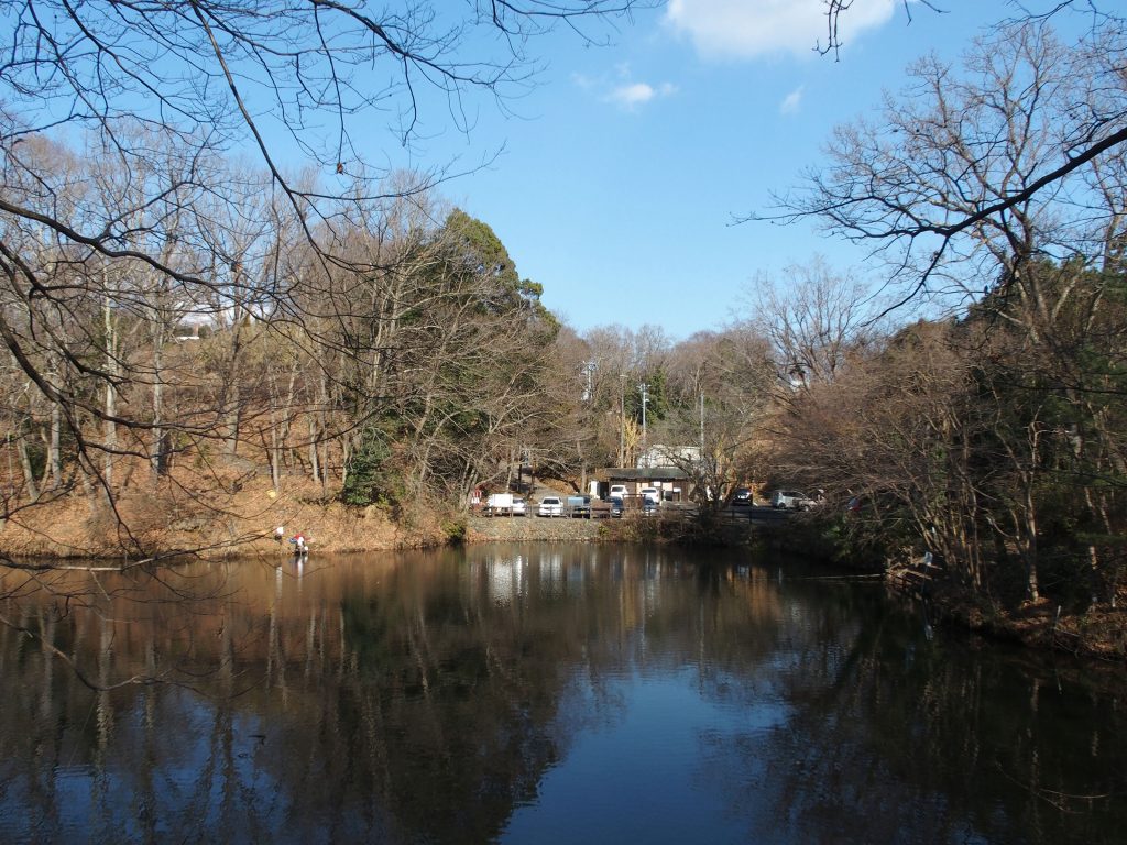 東岸のあたり