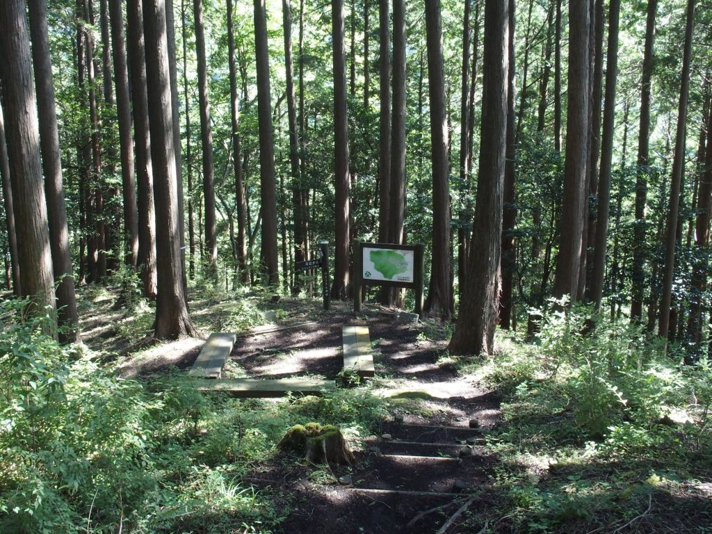 ベンチ、地図看板、指導標完備