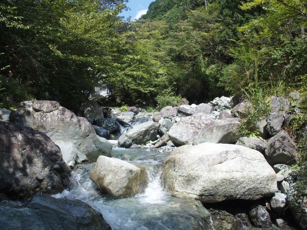 流れの真ん中の石に救われた