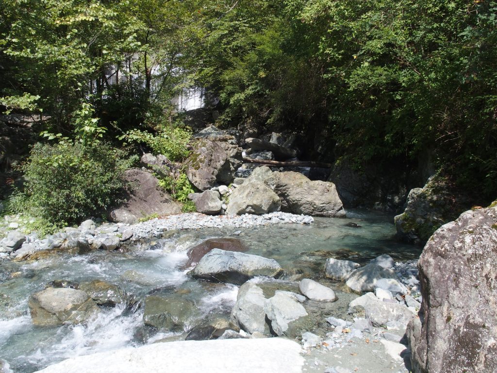 沢の両側に水源林が広がる