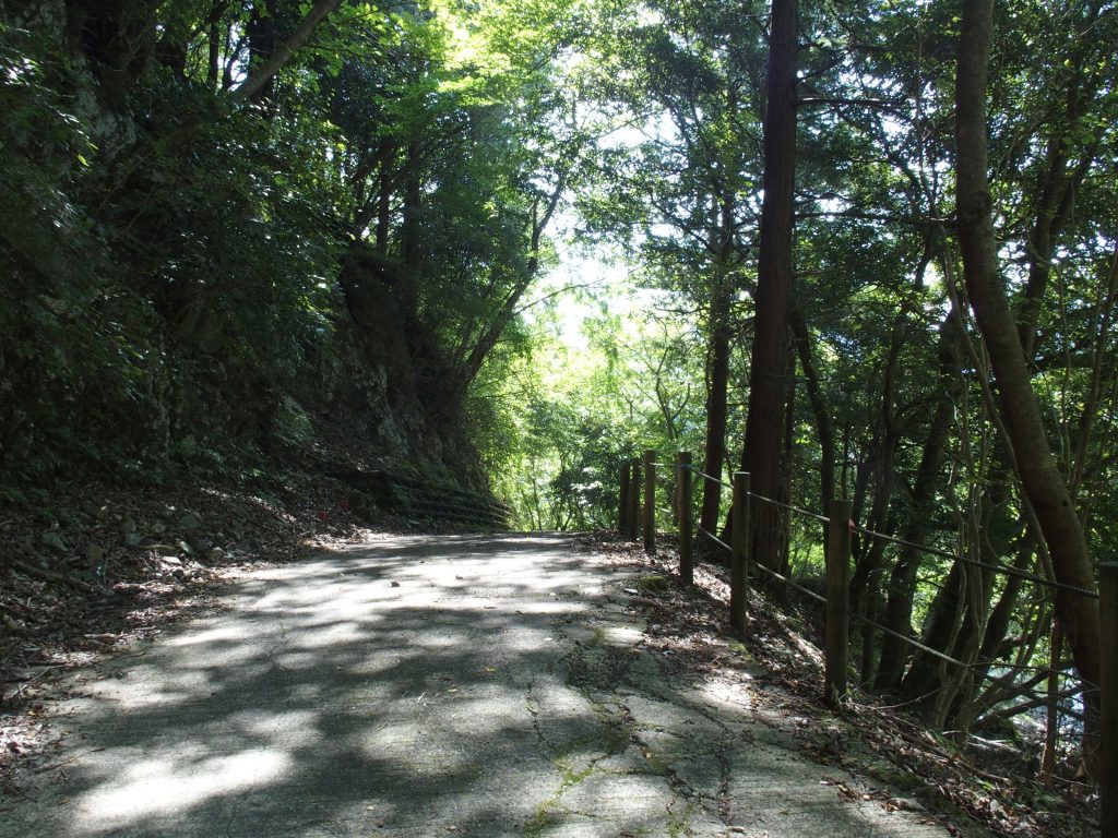 緑の中、快適な舗装路