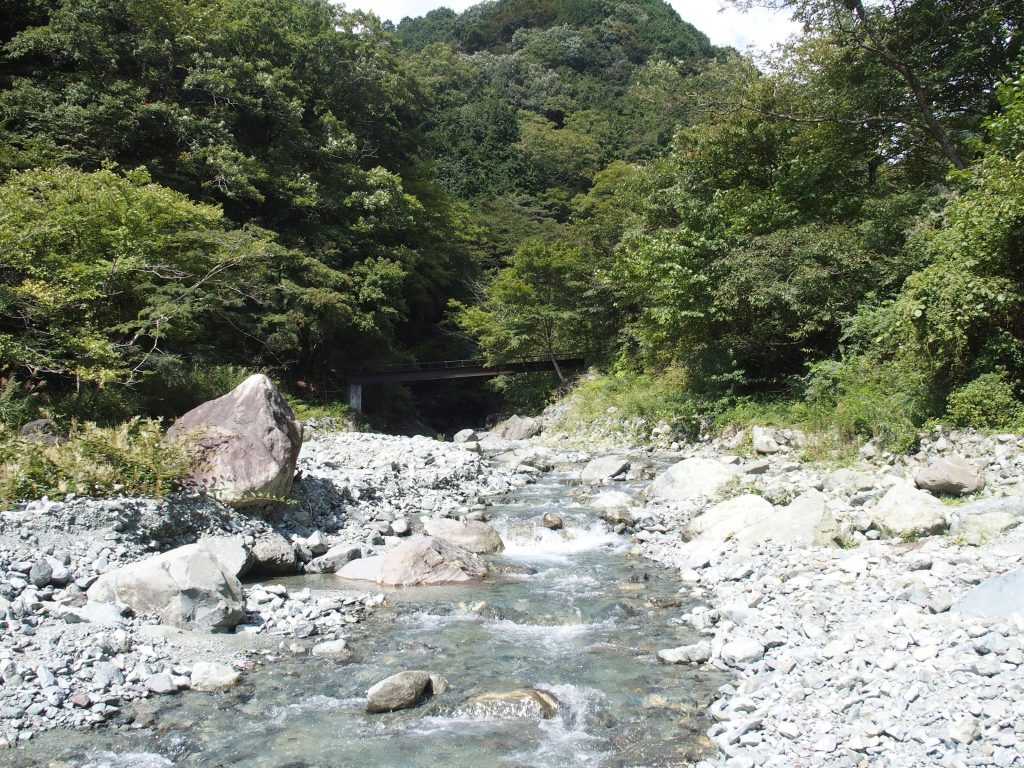 橋のようなものが見えるが…