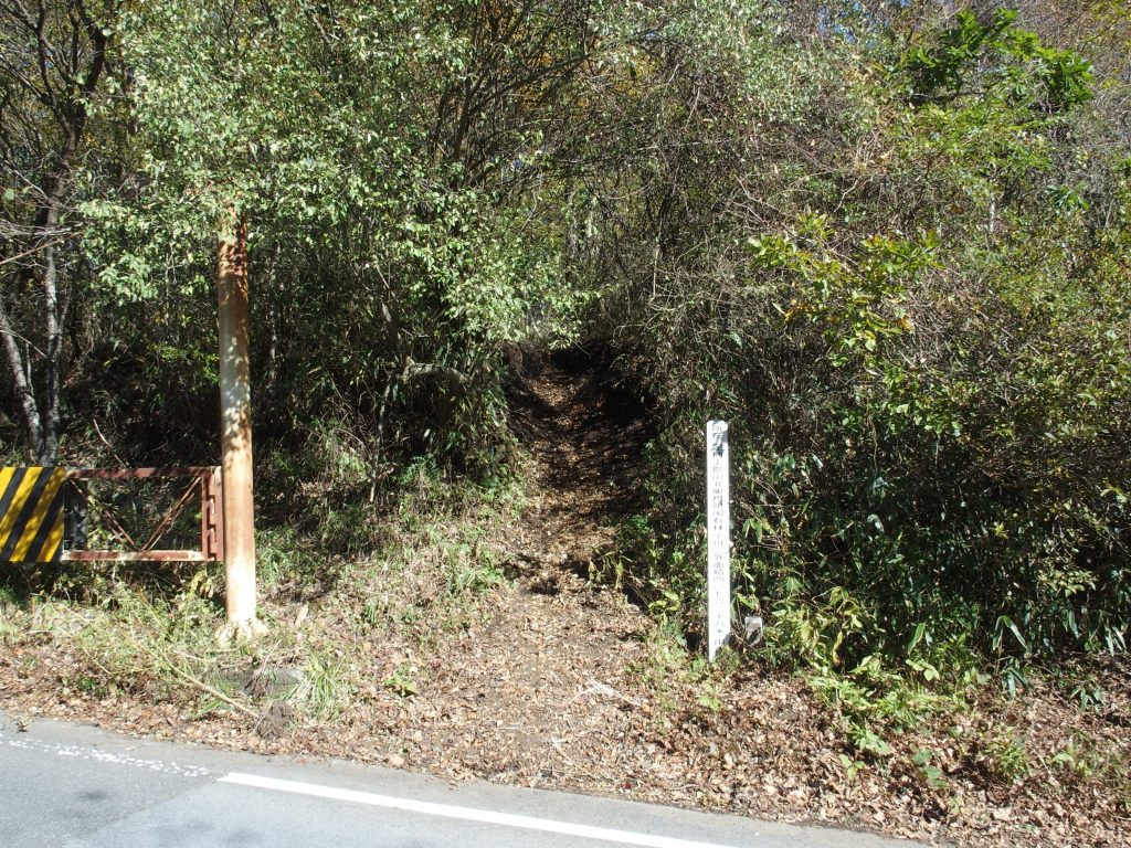 林班の標柱から踏み跡が続く