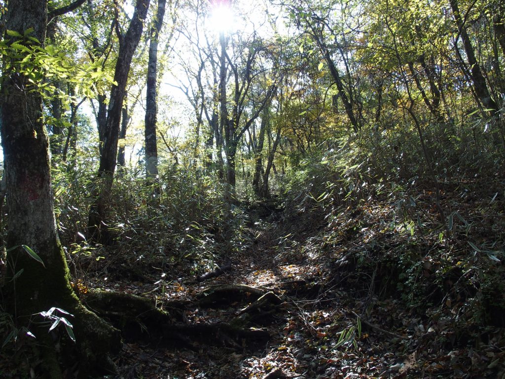 三国峠からの登山口